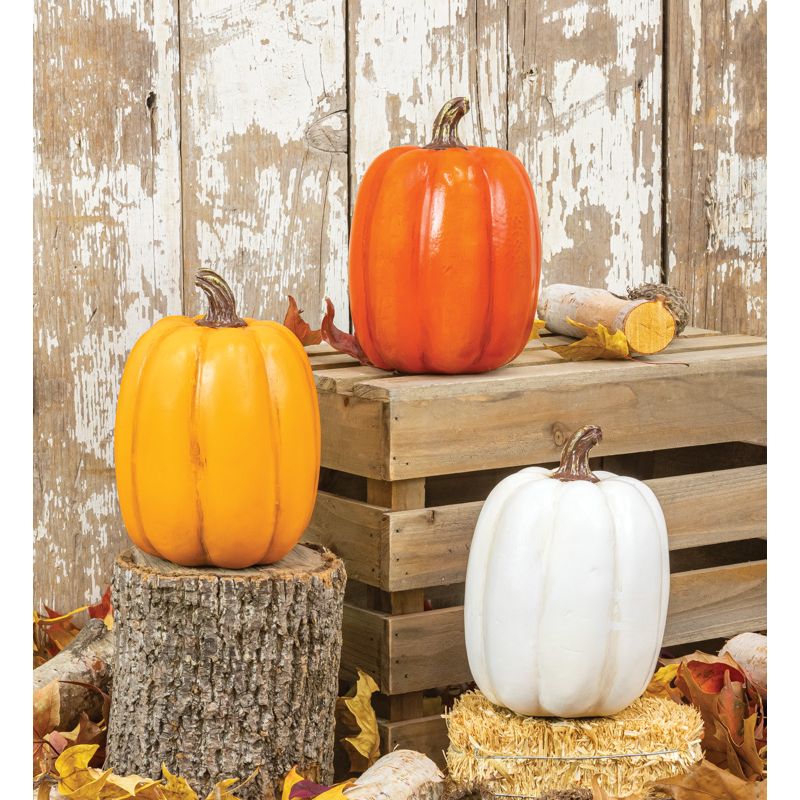 Classic Pumpkin