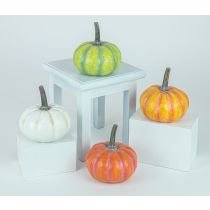 Autumn Colors Pumpkin