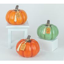 Autumn Pumpkin