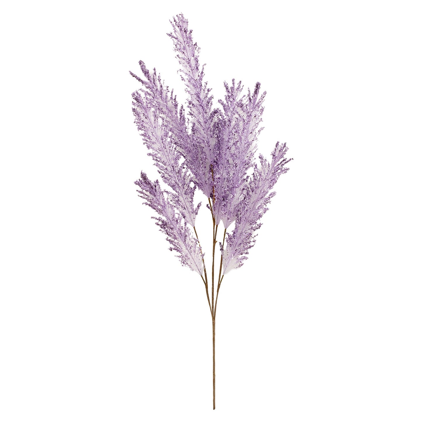 PURPLE BENTGRASS PICK