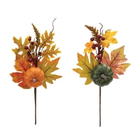 PUMPKIN FOLIAGE PICK
