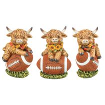 Football Highland Cow