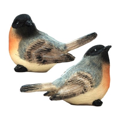 Gray and Orange Chickadees