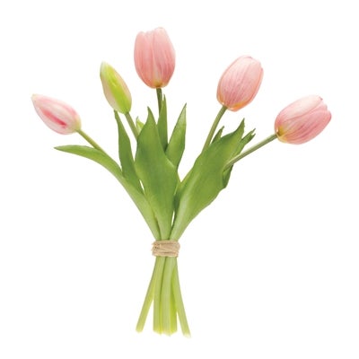 Pink Tulip bundle