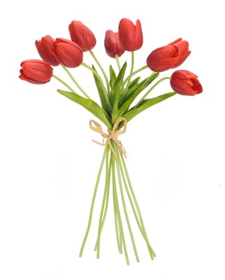 Red Tulip Bundle