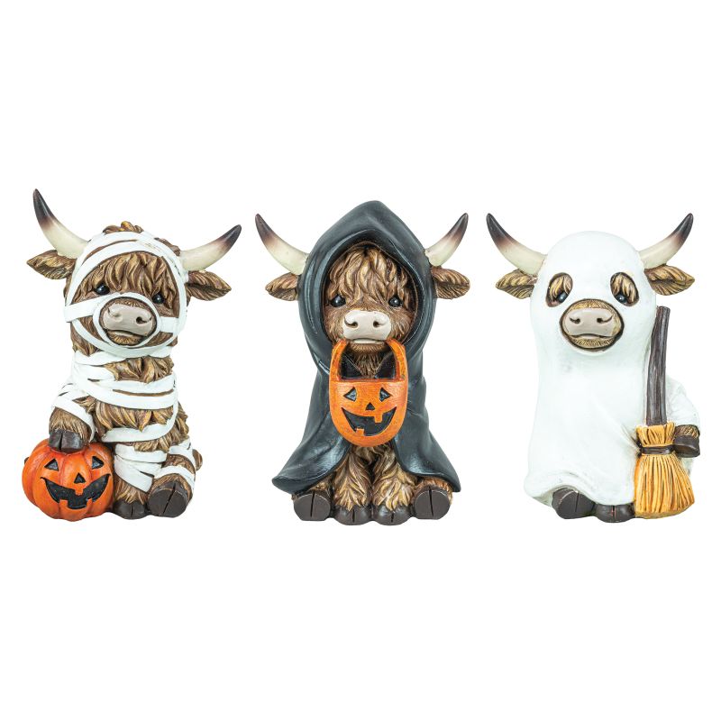 Trick or Treater Highland Cow