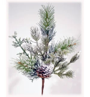 Frosted Pine Pick w/Cones