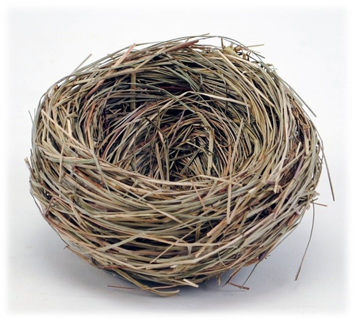 Dried Grass Bird Nest