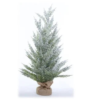 Snow Pine Burlap Tree