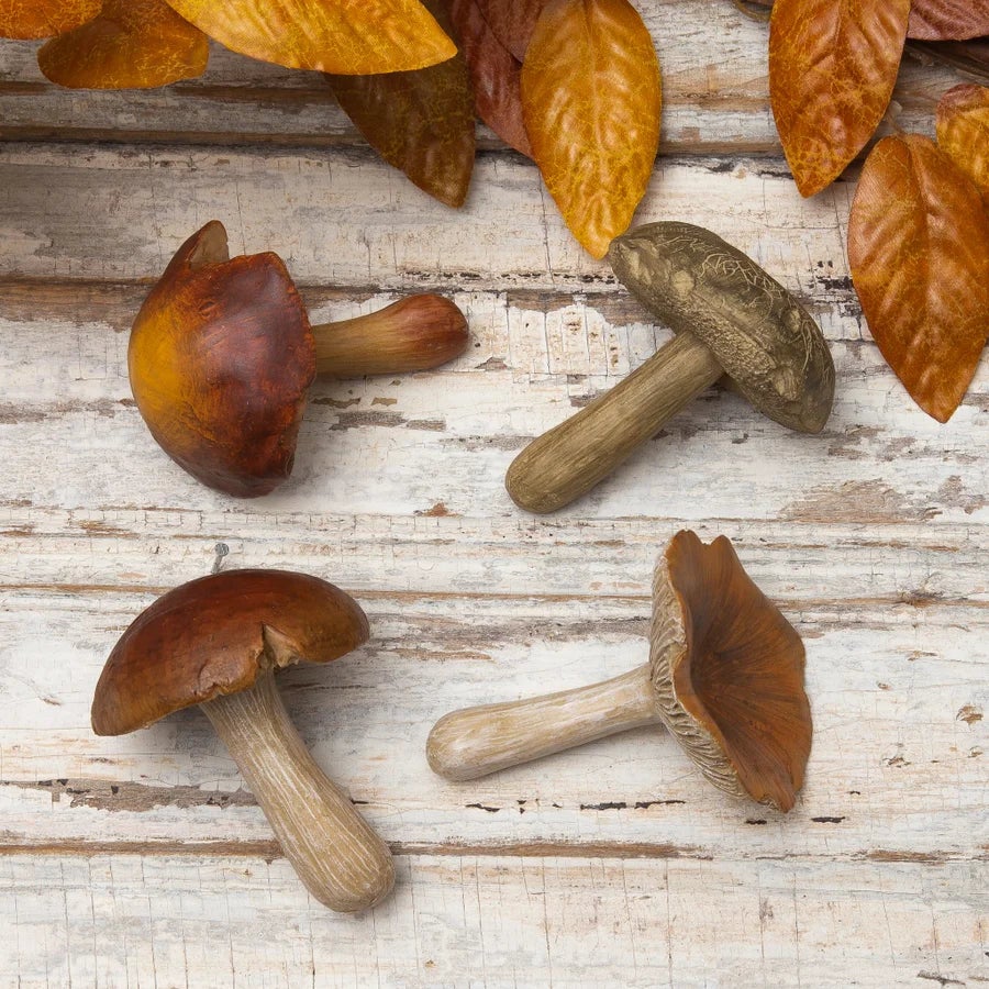 Mushroom