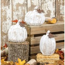 Whitewashed Pumpkin