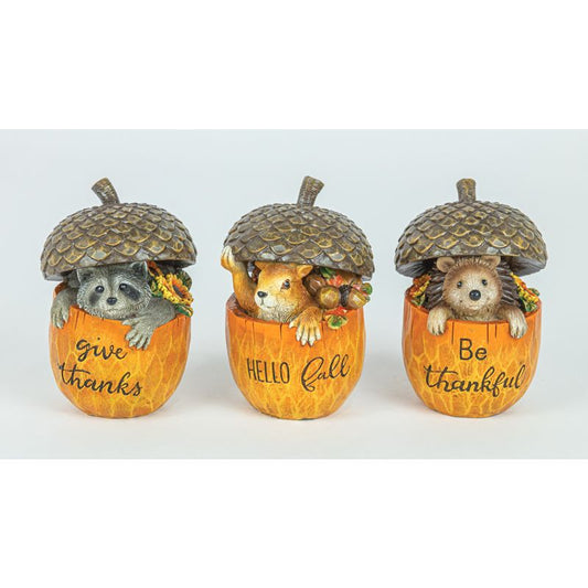 Acorn Animals