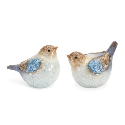 Blue/Brown Bird