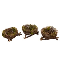 Mini Birds Nests