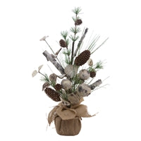 Birch & Pine Tree