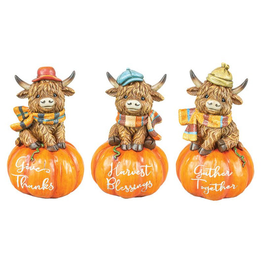 Scarf Highland Cow on Pumpkin