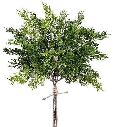 Juniper Bundle