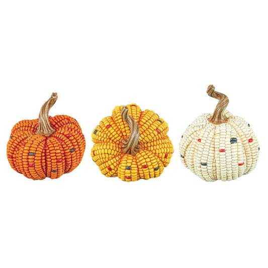 Maize pumpkins Medium