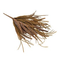 Fingergrass Bunch