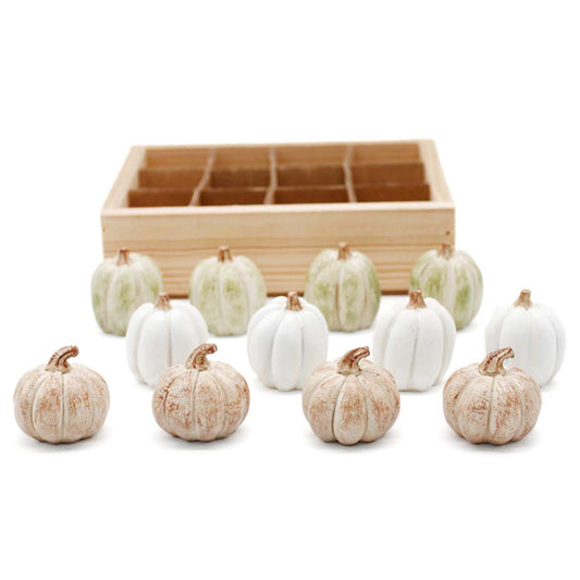 Tan, Green, White Mini Pumpkins