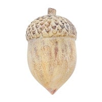 Tan Resin Acorn  Large
