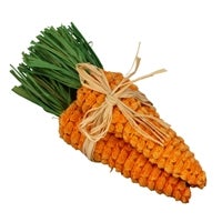 Orange Velvet Carrot