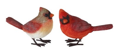 Cardinal