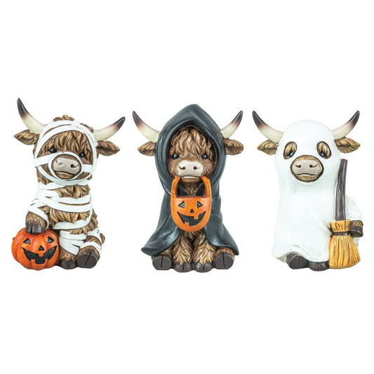 Trick or Treater Highland Cow
