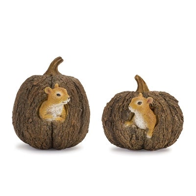 PUMPKIN W/SQUIRREL