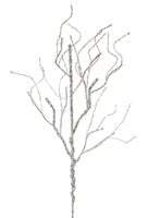 Ice Covered Twig Spray